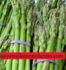  FRESH   ASPARAGUS 