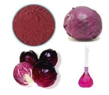 Cabbage red Colorant