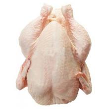  Frozen  Chicken Full Boilers in  Bag 