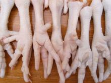 Fresh Frozen Chicken Feet