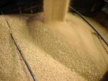 SOYBEANS MEAL