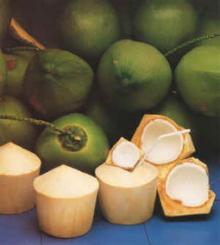 Fresh Young Coconut