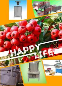 Fruit rolling machine line