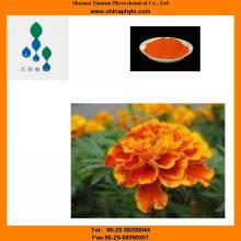 Lutein Powder/Marigold Extract
