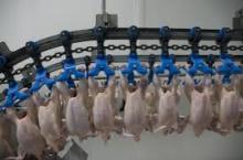 Good Quality Poultry  Frozen  Chicken feets and chicken breast