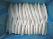  Fresh   Frozen   squid 