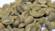 Robusta Green Coffee Bean Wet Polished