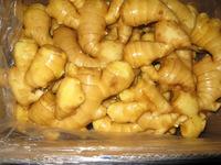 Ginger