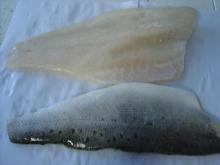 Frozen Sea Bass Fillet