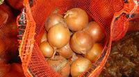 Fresh Red onion