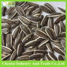  hulled   sunflower  seeds