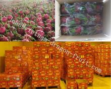 Red Dragon Fruit from Vietnam