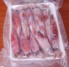 OEM Frozen Squid In Vietnam