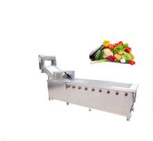 multifunction vegetable washer