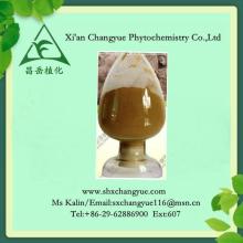 ginkgo biloba extract