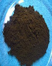 black currant extract
