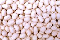 Blanched Peanut Kernels