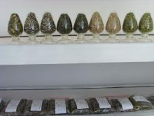 Pumpkin Seeds for Sale - Premium Grade