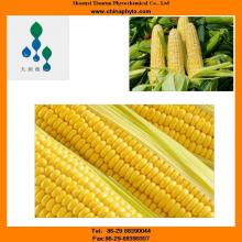 Pure-L-arabinose-free sample