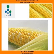 Natural-L-arabinose-manufacturer