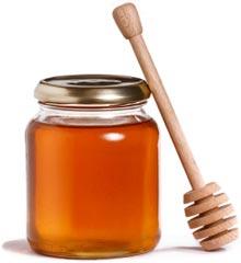 Forest Honey