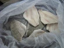 Frozen Tilapia Skinless Fillet