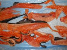 Frozen Salmon Trimmings