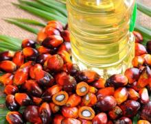  Refined   Palm  Oil