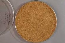 Meat & Bone Meal