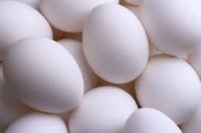 Fresh shell eggs