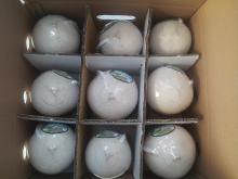 FRESH YOUNG COCONUT VERY GOOD PRICE