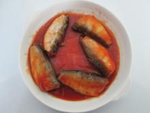 sell  canned   sardine  in  tomato   sauce 