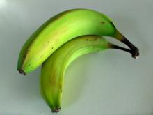 Fresh Green Bananas