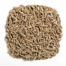 Fresh Cumin
