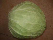 Fresh cabbage
