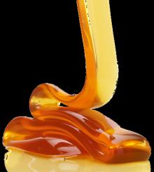 Natural Bee Honey