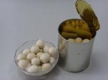 canned quail eggs/eggs/quail eggs