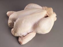 Sell  Fresh  Halal  whole  and Parts frozen  chicken 