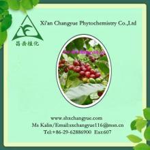 Green coffee bean extract powder