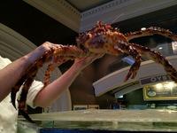 Live Crab