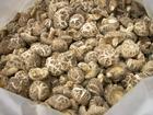 mushroom Extract