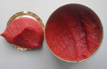 2013 New Fresh Canned Tomato Ketchup/Tomato Paste