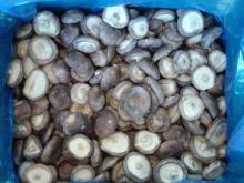 IQF Frozen Shiitake wholes
