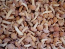 IQF Frozen Nameko