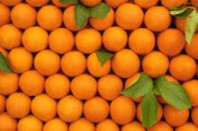 Fresh sweet Valencia  Orange s