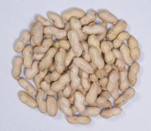 Peanut inshell