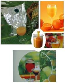 TROPICAL  FRUIT  PROCESS PLANT/MACHINERY
