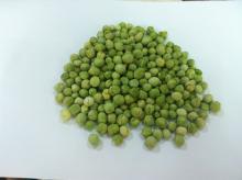 Freezed dried green peans as healty food In stock