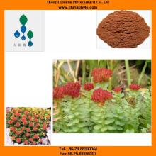 1% 2% 3% 5%HPLC-Rhodiola extract-manufacturer