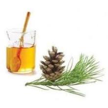 Pine Honey